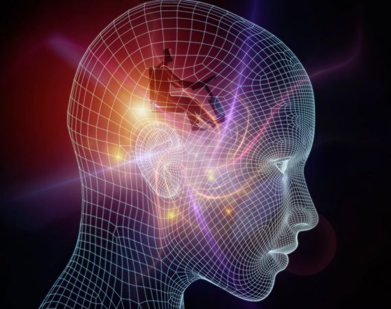 poll about Mind Uploading