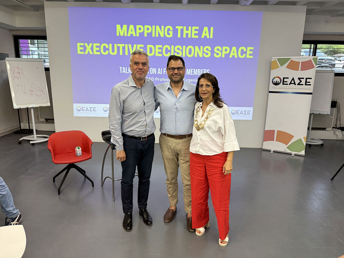 Mapping the AI Executive Decisions Space